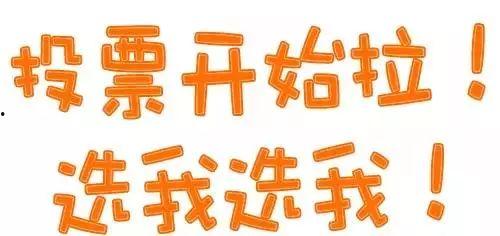 2025最新热点素材 51cg今日热门大瓜莫里秀搞笑,51cg揭秘莫里秀搞笑大瓜，笑料连连引关注
