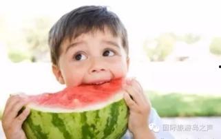 热门大瓜每日必吃大瓜 明星黑料网,每日必吃大瓜，明星黑料一网打尽